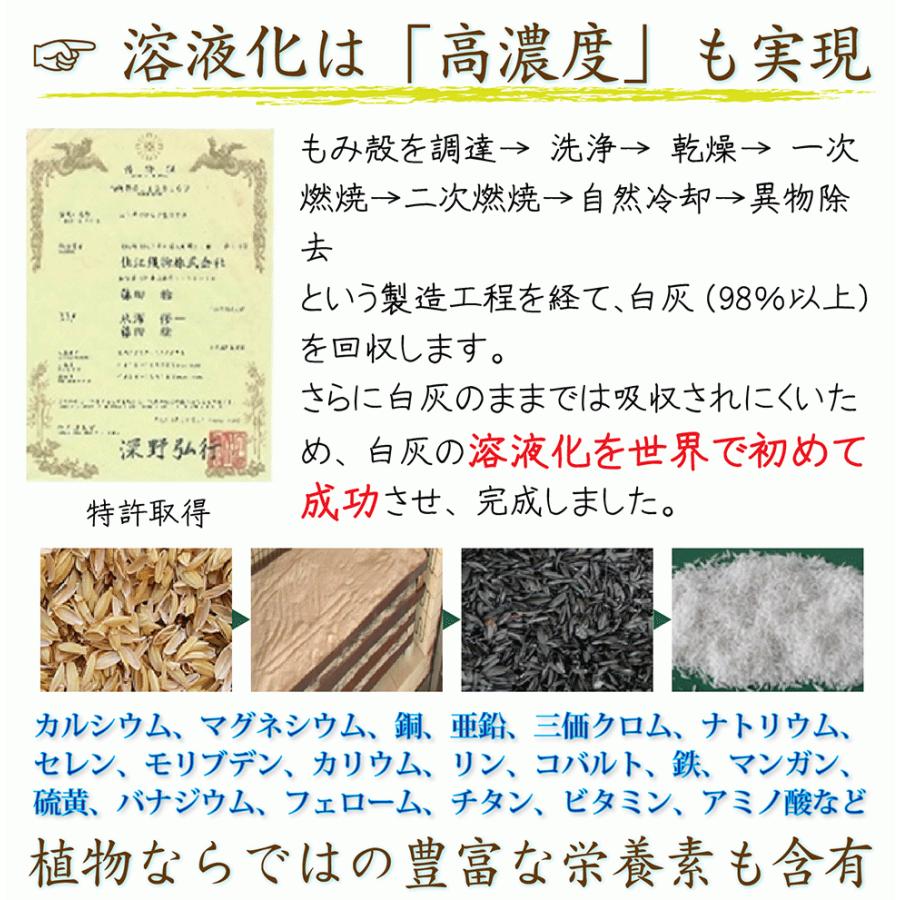 年末お買い得セール ライスシリカ　水溶性ケイ素　50ml×79本 年末お買い得セール ライスシリカ 水溶性ケイ素 50ml×79本