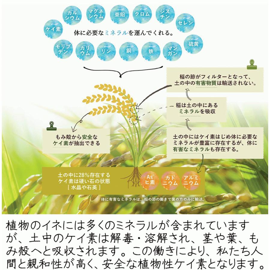 ライスシリカ 50ml お試し シリカ水 ケイ素192mg/L 濃縮液 送料無料 シリカ 含有量19,260ppm以上 高含有 植物性 水溶性 国内製造 飲むシリカ 植物性 水溶性｜nouvelle-agu｜06