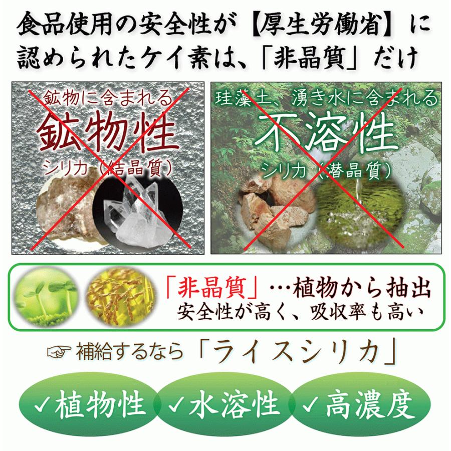ライスシリカプレミアム 500ml シリカ水 ケイ素192mg/L 濃縮液 送料