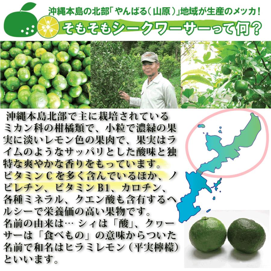 青切り シークワーサー 100% 原液 1000ml×6本入り 沖縄県産 ドリンク