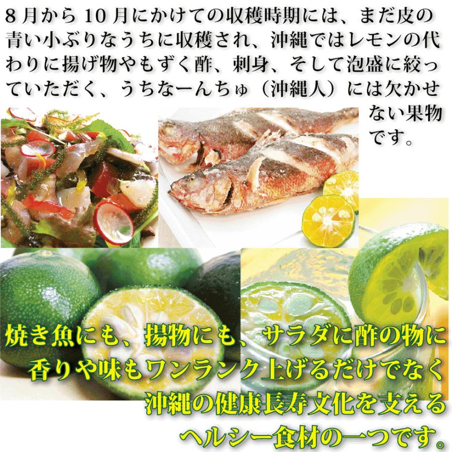 青切り シークワーサー 100% 原液 1000ml×6本入り 沖縄県産 ドリンク