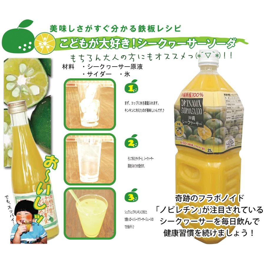 青切り シークワーサー 100% 原液 1000ml×6本入り 沖縄県産 ドリンク