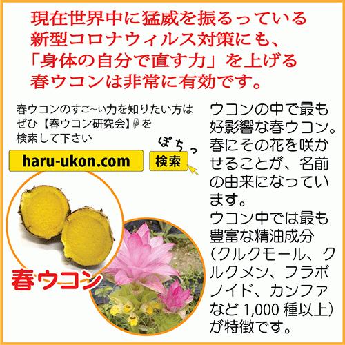 おトク ウコン サプリ 琉球酒豪伝説 6包入り ３袋 酒豪伝説の正しい飲み方付き 二日酔い対策 沖縄 うこん サプリメント 送料無料 お酒 予防 二日酔い Ukon 飲み会 Aynaelda Com