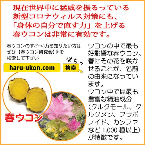 サプリメント】琉球春ウコン×20袋