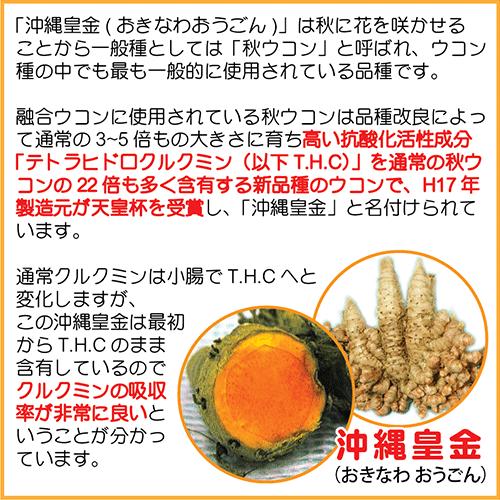 琉球酒豪伝説 6包入り×20袋（120包） ウコン サプリ 酒豪伝説の正しい