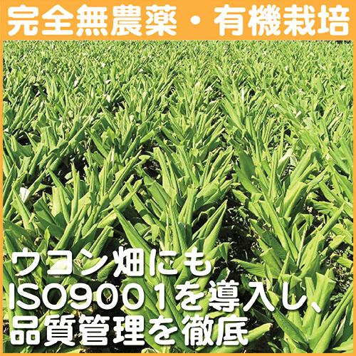 琉球酒豪伝説 6包入り×20袋（120包） ウコン サプリ 酒豪伝説の正しい