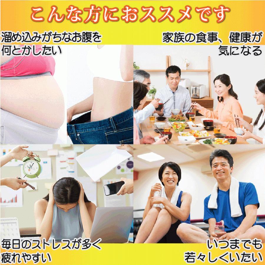 沖縄腸活酵素【60粒30日分】酵素 コンブチャ 穀物麹 22種100億個の乳酸菌 えごま油 亜麻仁油 オリーブ油配合 酵素サプリメント ダイエットサプリ こうそ｜nouvelle-agu｜20