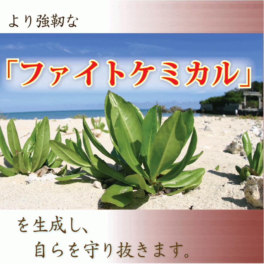 沖縄腸活酵素【60粒30日分】酵素 コンブチャ 穀物麹 22種100億個の乳酸菌 えごま油 亜麻仁油 オリーブ油配合 酵素サプリメント ダイエットサプリ こうそ｜nouvelle-agu｜08