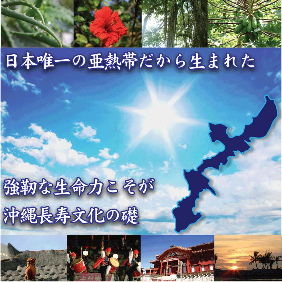 沖縄腸活酵素【60粒30日分】酵素 コンブチャ 穀物麹 22種100億個の乳酸菌 えごま油 亜麻仁油 オリーブ油配合 酵素サプリメント ダイエットサプリ こうそ｜nouvelle-agu｜10