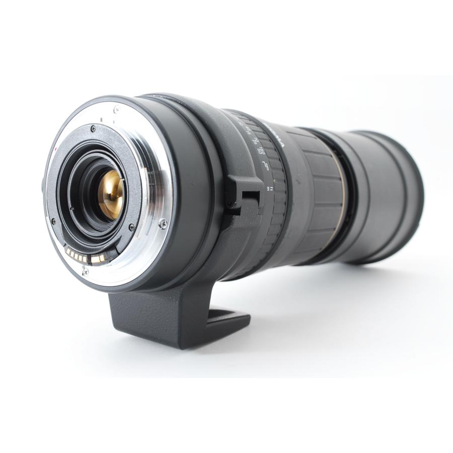 シグマ（SIGMA） APO 170-500mm 5-6.3 : カメラFanks-PROShop 2nd