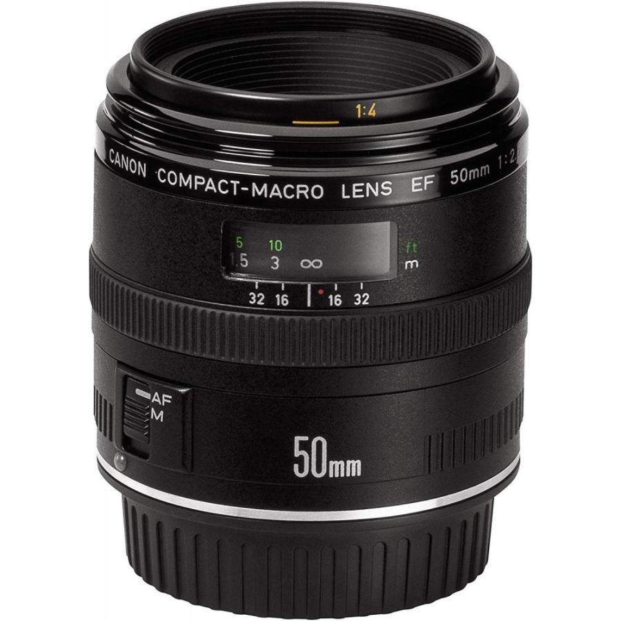 キヤノン（Canon） Canon EF50mm F2.5 単焦点マクロレンズ 良品 動作