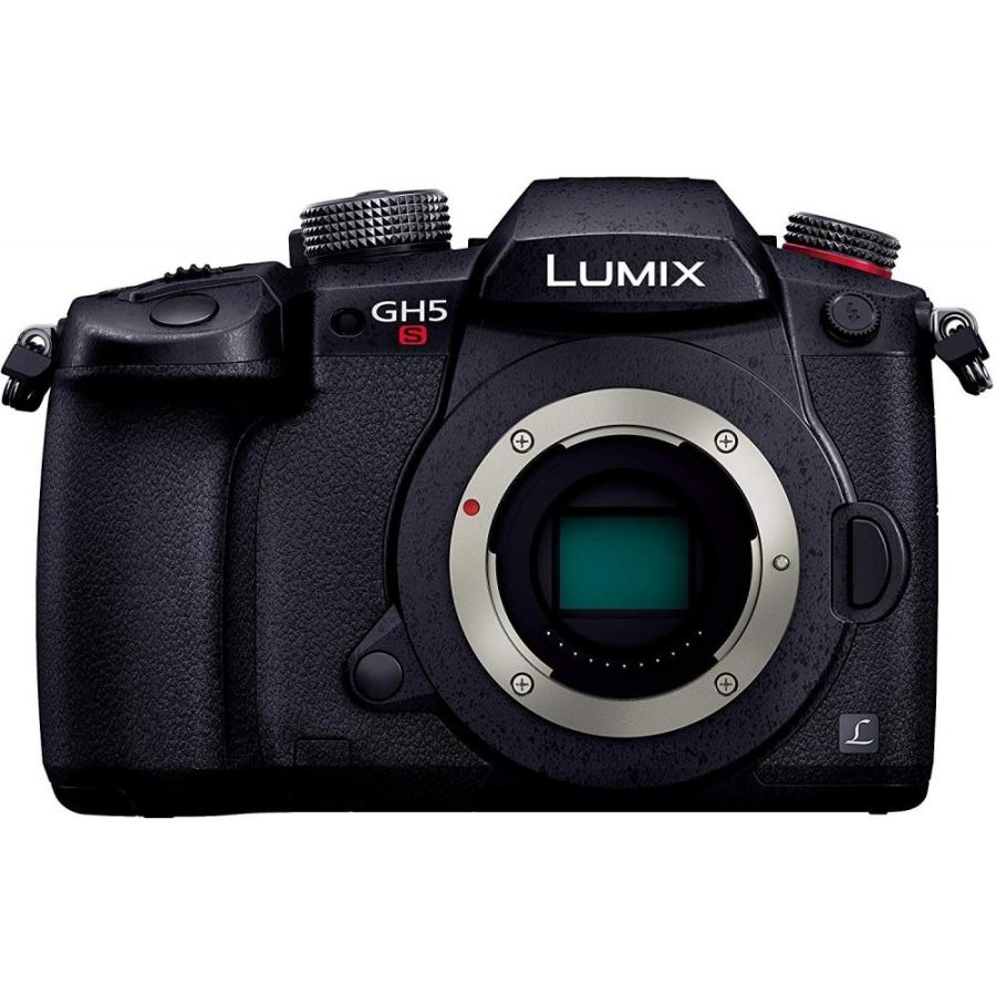 Panasonic LUMIX GH5S ボディ 美品・完動品・元箱付き Panasonic パナソニック GH5S ボディ ブラック DC-GH5S-K <プレゼント