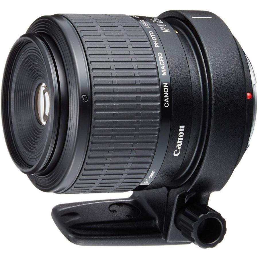 ニコン Nikon D5500 AF-S 55-300mm VR 望遠 レンズセット 手振れ補正