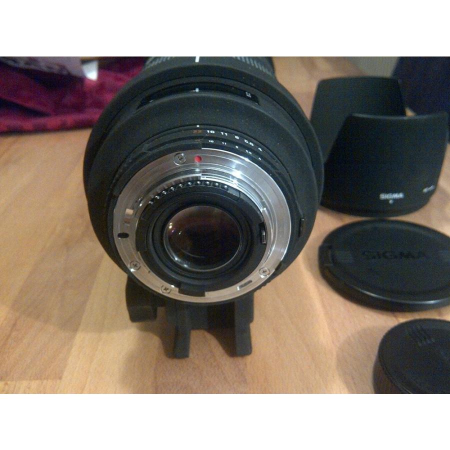 GoPro（ゴープロ） シグマ SIGMA 50-500mm F4-6.3APO EX DG HSM ニコン