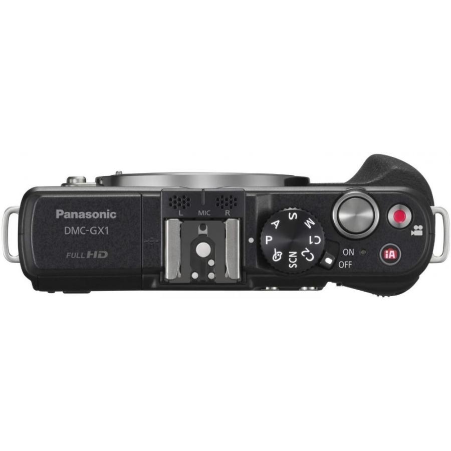 LUMIX GX1 ミラーレス一眼 ブラック 【公式通販】