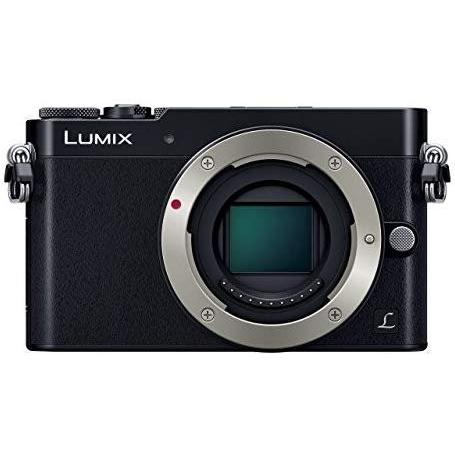 パナソニック Panasonic GM5 ボディ ブラック DMC-GM5-K SDカード付き 
