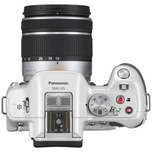 パナソニック Panasonic ルミックス G5 ダブルズームレンズキット 標準 