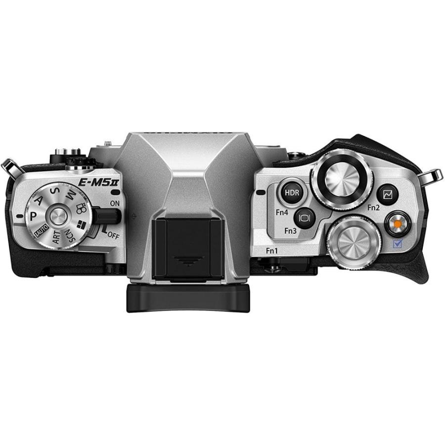 OLYMPUS OM-D E-M5 レンズキット シルバー 【公式通販】
