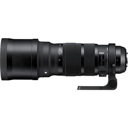 シグマ（SIGMA） Canon 120-300mm F2.8 DG OS HSM 交換レンズ 良品
