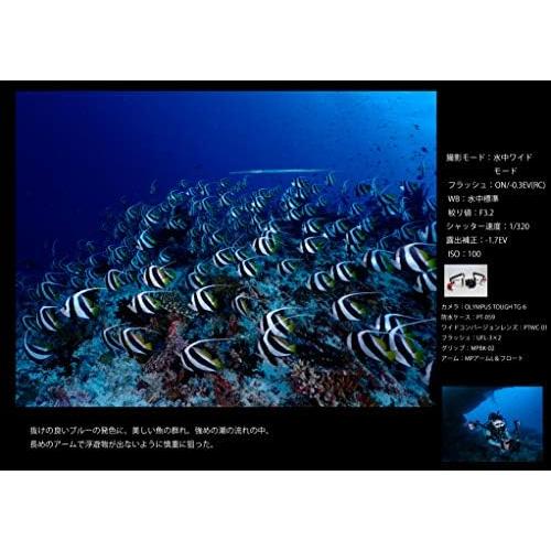 OLYMPUS Tough TG-6 良品 動作確認済み 1ヶ月保証付 高性能_2