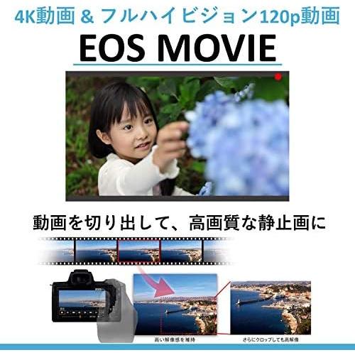 Canon ミラーレス一眼カメラ EOS M6 Mark II ダブルズームEVFキット シルバー EOSM6MK2SL-WZEVFK｜nouvelle-vie｜06