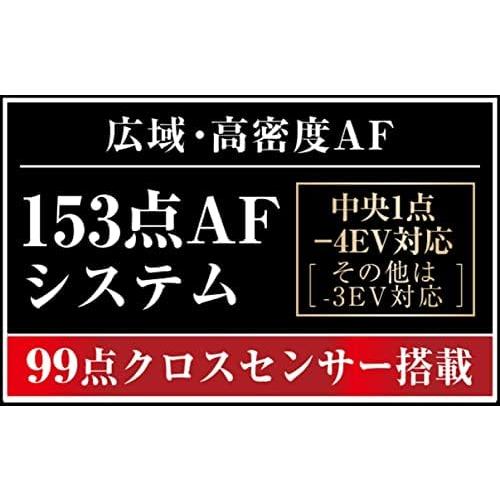 Nikon D500 ボディ 良品 動作確認済み 1ヶ月保証付 高性能_2