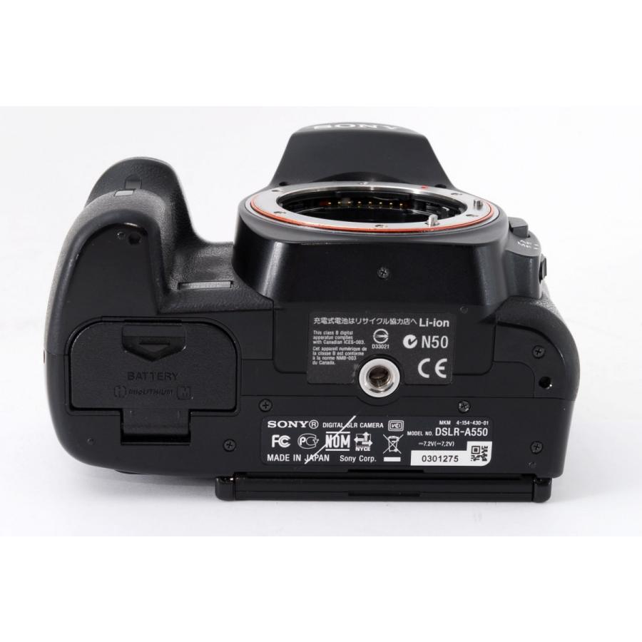 SONY ソニー α550 DSLR-A550 標準&超望遠ダブルズームセット 美品 SD 