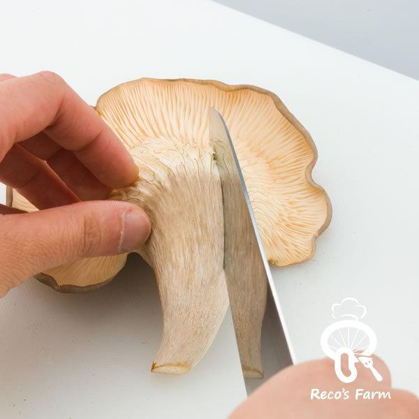 キノコ 様　専 用 予約販売：2026年1月～2月中 お届け予定】<単品販売・先行予約特価>未