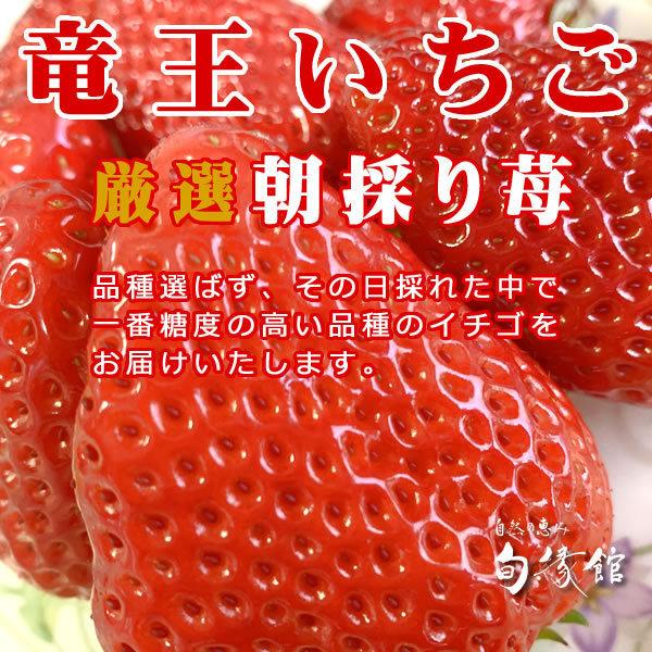 竜王いちご 品種選ばず厳選朝採り苺 特選２０個 ３６個 箱入り 滋賀県竜王町産 イチゴ 苺 いちご 果物 旬縁館 苺クール便 滋賀県ご当地モール Ichigo10 ヌーベルムラチ 通販 Yahoo ショッピング