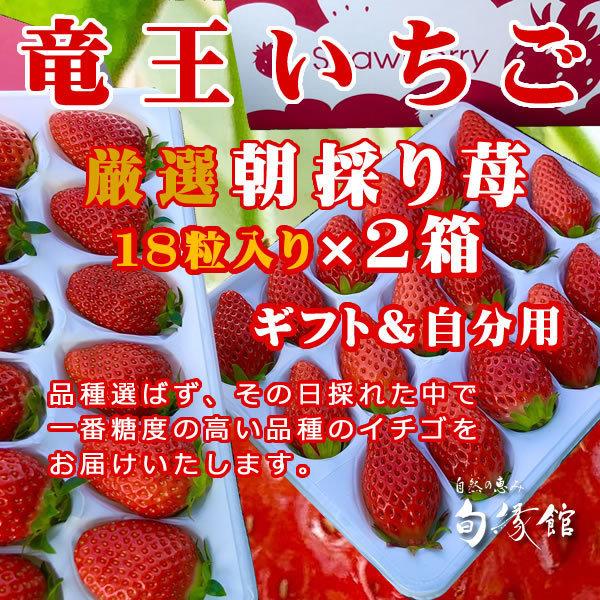 竜王いちご 品種選ばず厳選朝採り苺 特選２０個 ３６個 箱入り 滋賀県竜王町産 イチゴ 苺 いちご 果物 旬縁館 苺クール便 滋賀県ご当地モール Ichigo10 ヌーベルムラチ 通販 Yahoo ショッピング