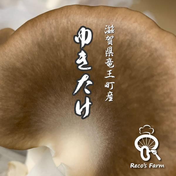 雪茸（生） 500g（滋賀県竜王町産）竜王きのこ農園レコズファーム