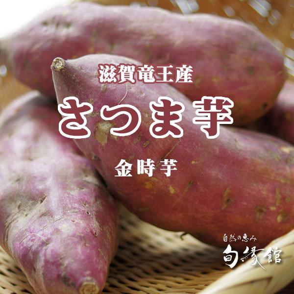 竜王さつま芋 金時芋 ３ｋｇ（滋賀県竜王町山之上産）やまねっ娘（やまねっこ） 壌土で育ったサツマイモ【滋賀県ご当地モール】 | 