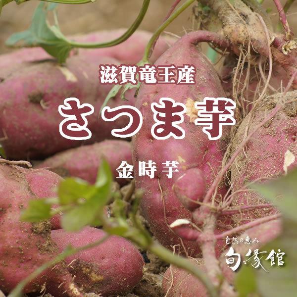 竜王さつま芋 金時芋 ３ｋｇ（滋賀県竜王町山之上産）やまねっ娘（やまねっこ） 壌土で育ったサツマイモ【滋賀県ご当地モール】 |  | 01