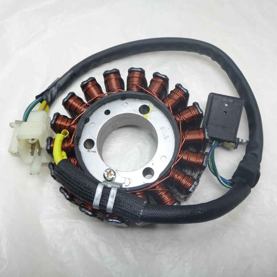 PGO ACG ASSY G-MAX200 ★送料無料★の画像