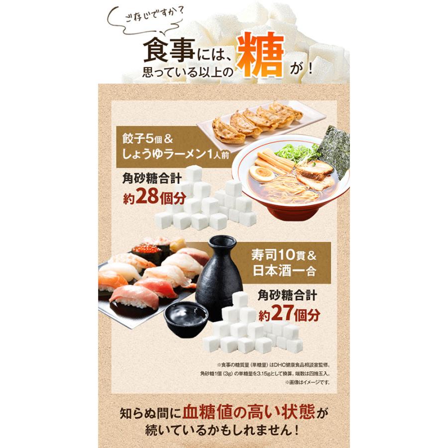 DHC 血糖値ダブル対策 20日分 期限28年4月 | DHC | 05