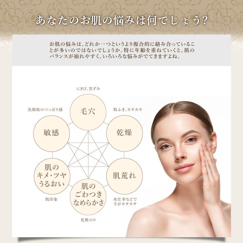 無添加石鹸　洗顔　固形　ＮＯＷプレミアムソープ　１００ｇ　職人手作り　コールドプロセス　天然多孔質粘土　マイナスイオン　しっとり　うるおい　濃密泡 | ブランド登録なし | 04