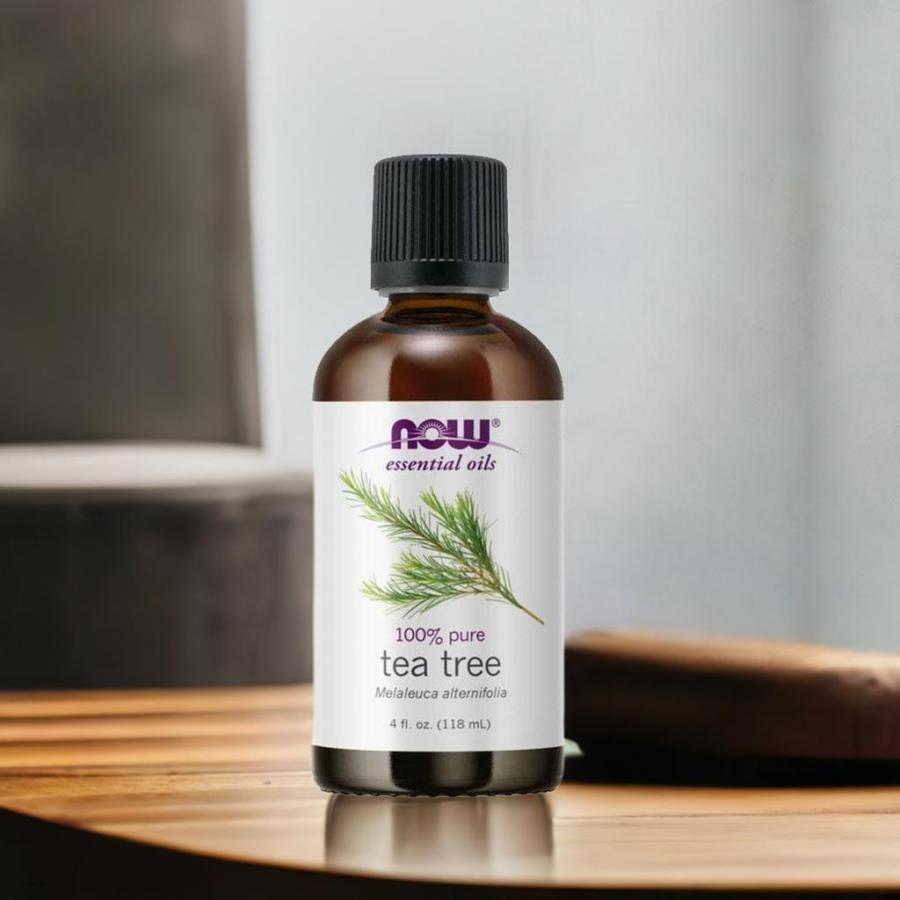 NOW Foods（ナウフーズ） ティーツリー 精油 業務用 118mL(4fl.oz.) 大