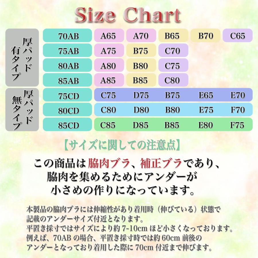 メーカー価格2590円×3set‼️凄盛り脇肉補正ブラ+ショーツ育乳バストアップ 楽天市場】【10%offクーポン配布中！】ブラジャー 脇肉ブラ 脇高 育乳