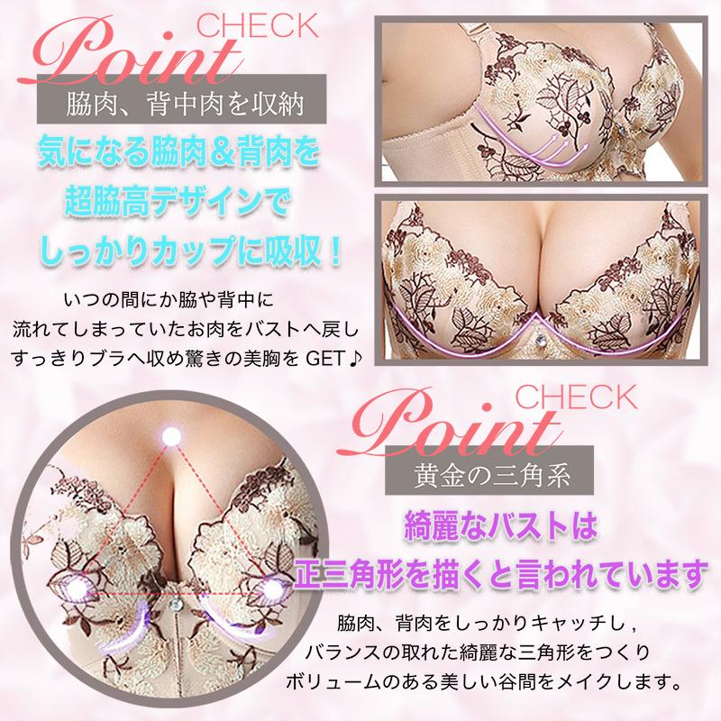 下着 上下セット 5点セット 福袋 ブラジャー ブラショーツセット 改良 