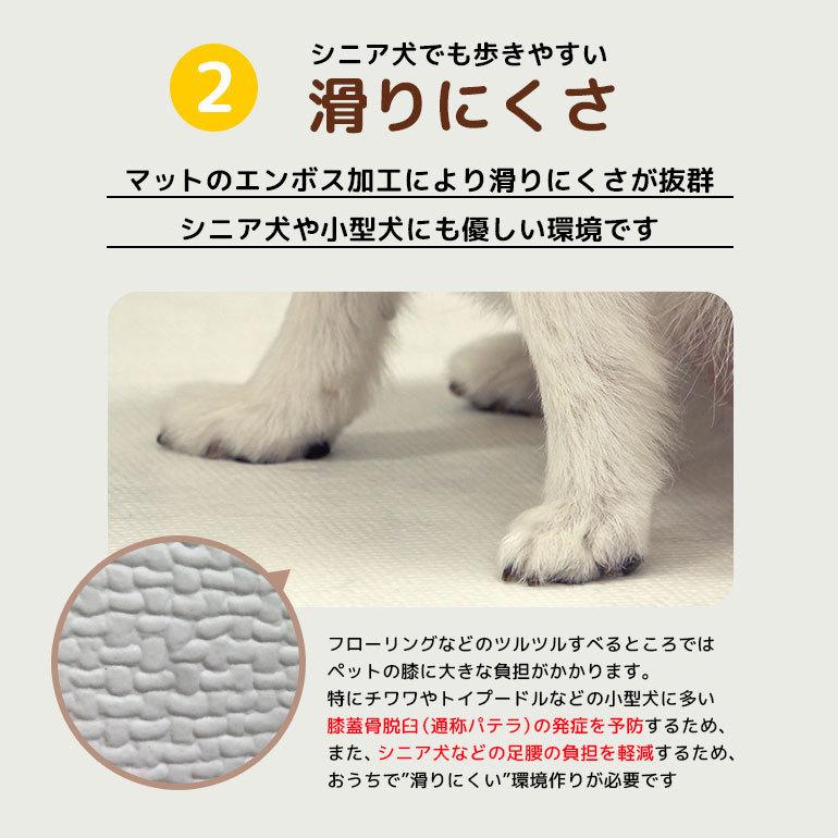 22超人気 滑り止め 防水 猫 犬 ノンホルム プレイマット ペットマット 抗菌 カラズ Caraz Pvcマット 床暖房対応 送料区分 床暖房対応 大理石調 その他 Labelians Fr