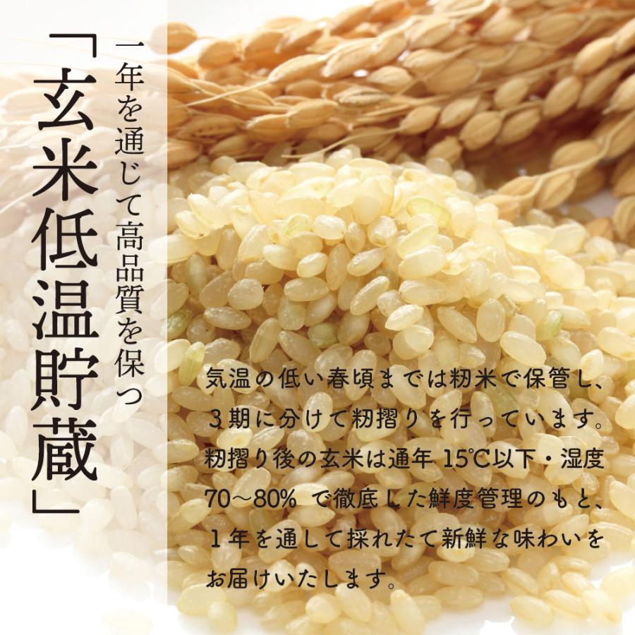 サキホコレ 30kg 1等玄米 送料無料 2023年産 令和5年産  秋田県産 農家直送 送料無料｜nowson｜06