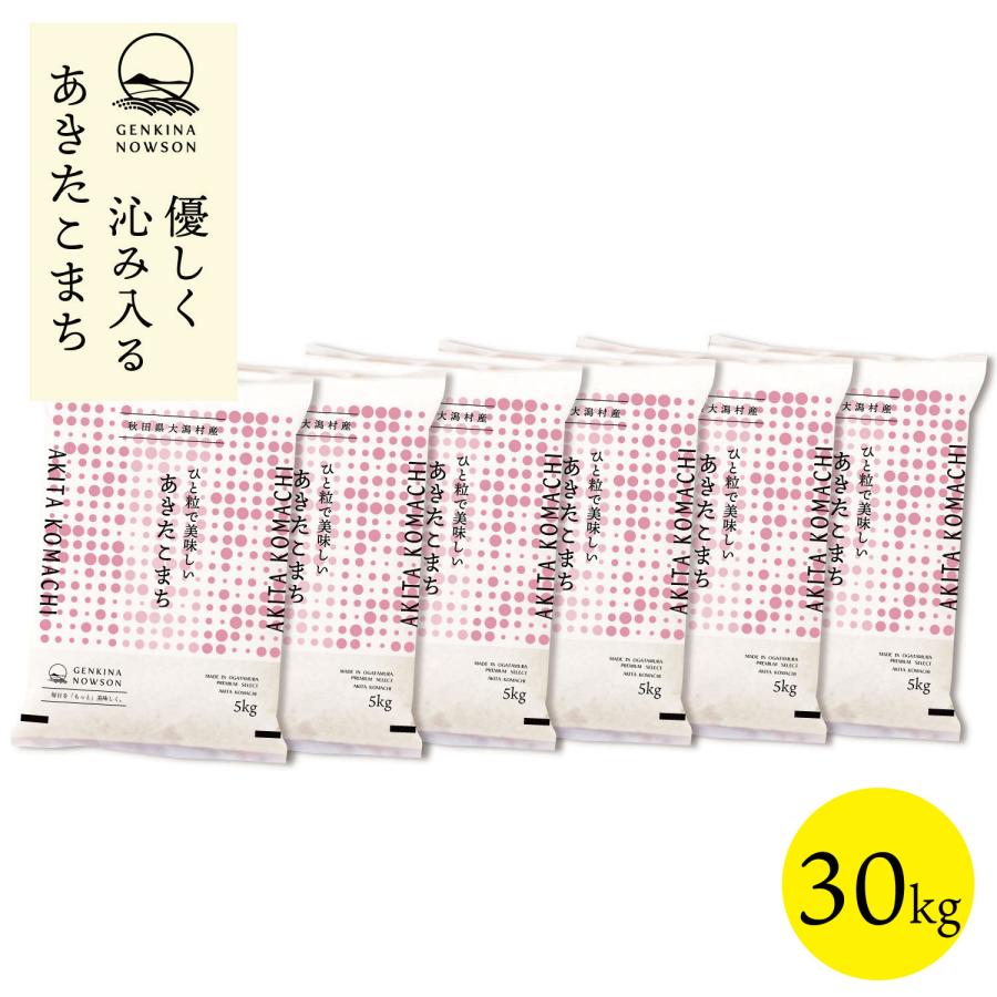 あきたこまち 30kg 送料無料 脱気包装5kg×6袋 選べる精米（白米／無