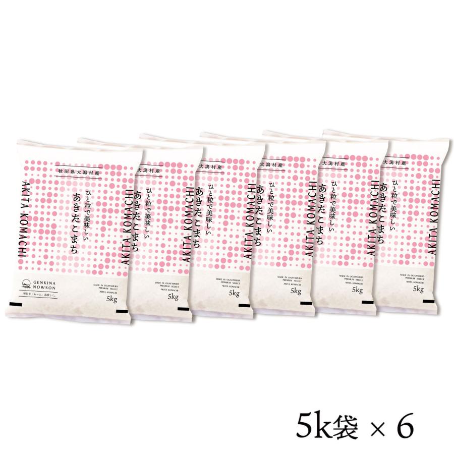あきたこまち 30kg 送料無料 脱気包装5kg×6袋 選べる精米（白米／無