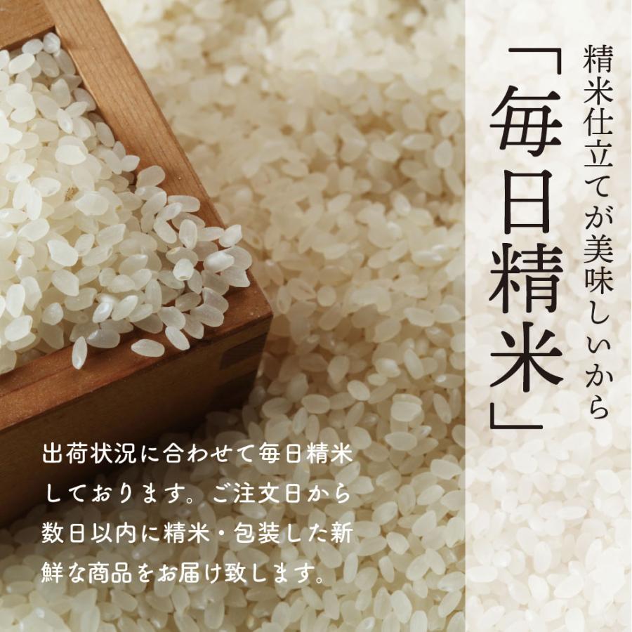 数量限定販売 令和7年産 無洗米ミルキープリンセス1合×6袋　送料無料 窒素ガス包装 お手軽サイズセット お米　 |  | 08