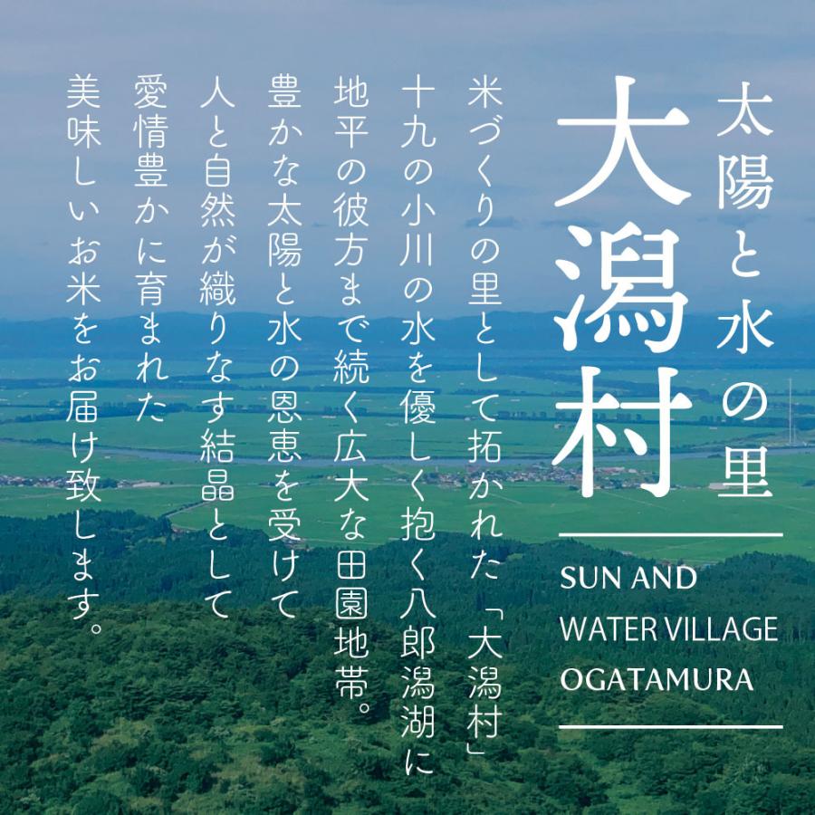 数量限定販売 令和7年産 秋田県産  ミルキープリンセス 5kg(5kg×1袋) 脱気包装★選べる精米【白米 無洗米 胚芽米】★ | ミルキークイーン | 06