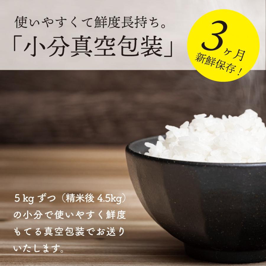 令和5年産ミルキープリンセス 20kg送料無料 真空パック5kg×4袋｜nowson｜05