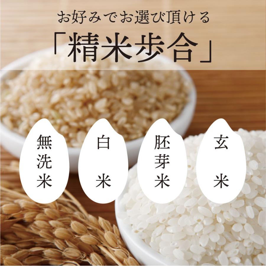 令和5年産 秋田県産 スノーパール  10kg(5kg×2袋) ★選べる精米【白米 無洗米 胚芽米】★｜nowson｜03