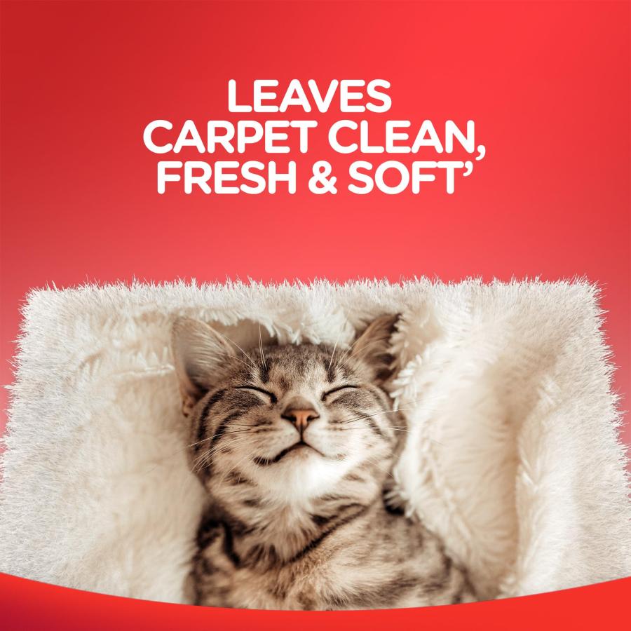 【並行輸入品】Resolve Carpet High Traffic Foam， 22 Ounce by Resolve Resolve Hig_9