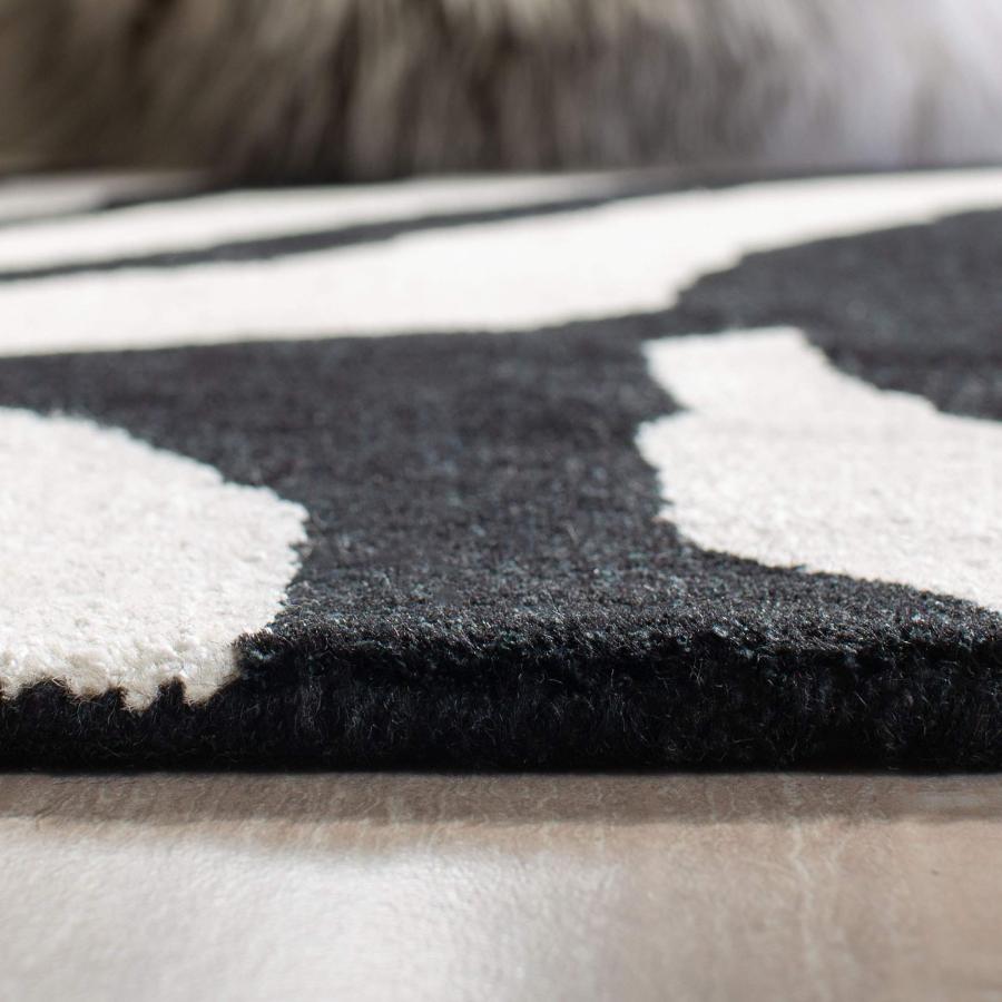 【並行輸入品】Safavieh Soho Collection SOH717A Handmade White and Black Premium_6