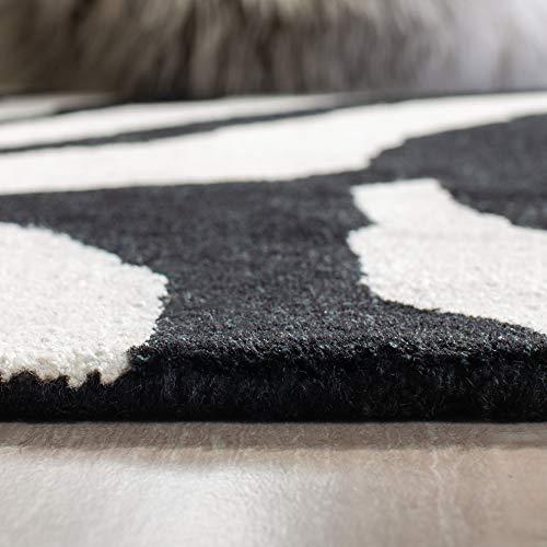 【並行輸入品】Safavieh Soho Collection SOH717A Handmade White and Black Premium_7